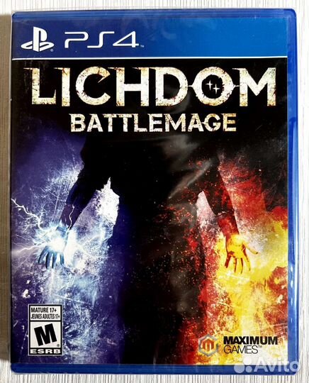 Lichdom: Battlemage PS4 диск
