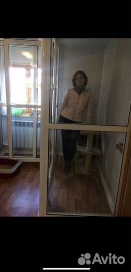 Зоогостиница (передержка) для кошек и собак