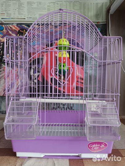 Клетка для волнистого попугая
