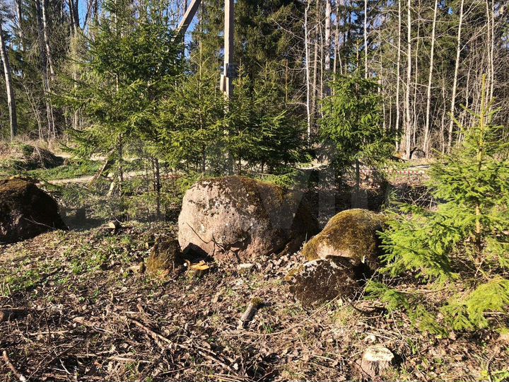 Участок 9 сот. (СНТ, ДНП)