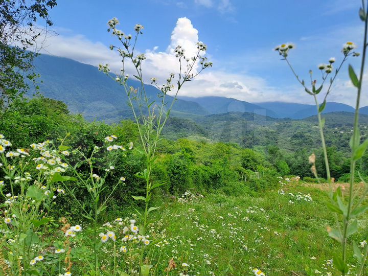 Участок 46 сот. (ИЖС)