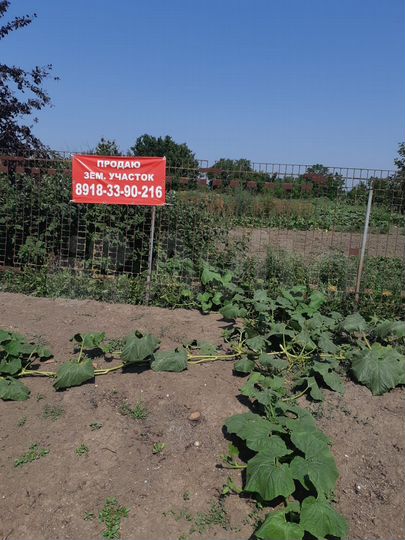 Участок 9 сот. (ИЖС)