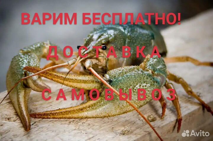 Раки Саратов