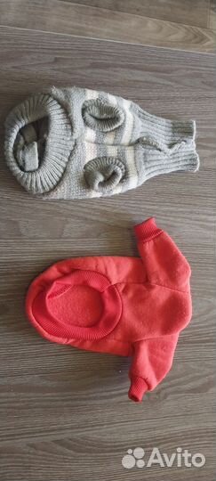 Одежда для маленькой собаки