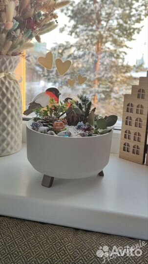 Композиция из живых растений в кашпо