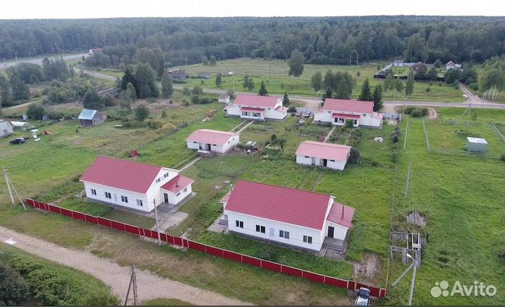 Готовый бизнес по выращиванию овец