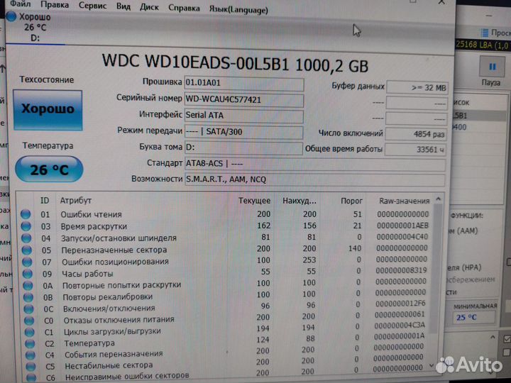 Жесткий диск 1 тб western digital