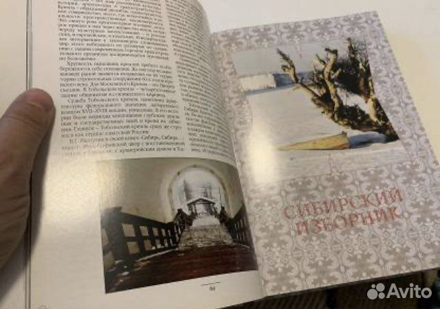 Тобольск и вся Сибирь. Книга десятая 2008