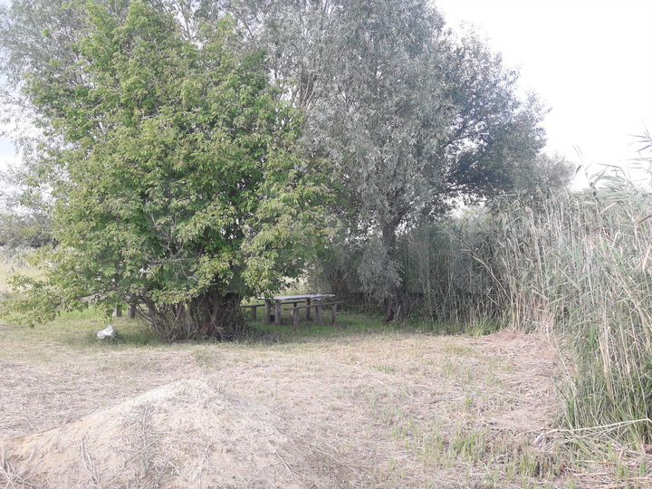 Дача 140 м² на участке 100 сот.