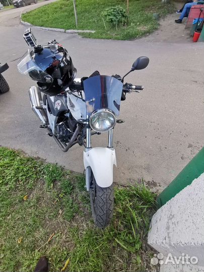 Stels flex 250