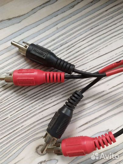 Скарт тюльпаны