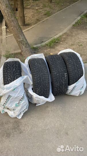 Pirelli Winter Carving Edge 215/50 R17 95B