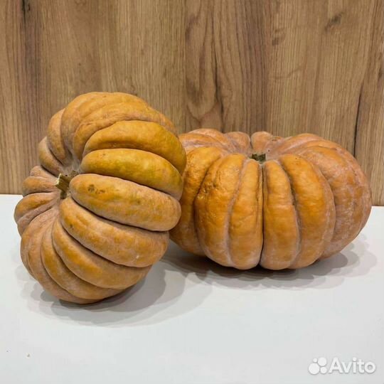 Семена тыквы мускат де профанс