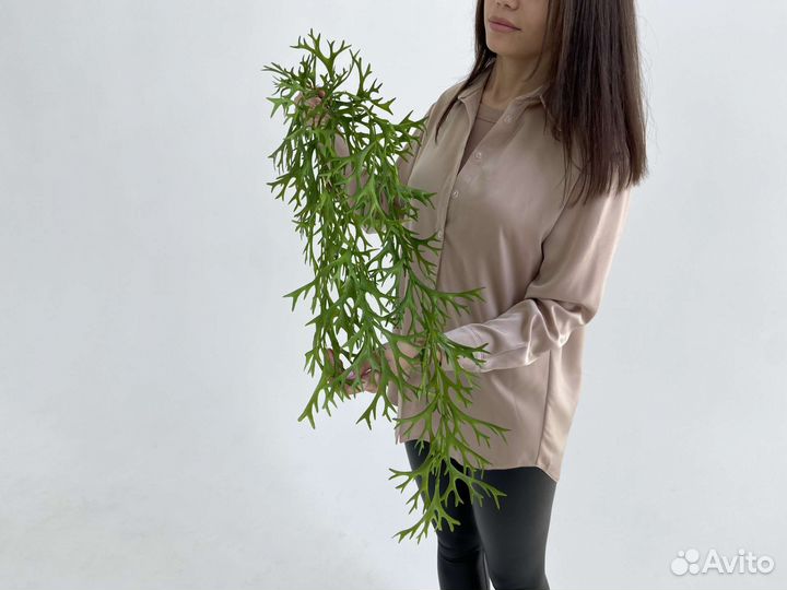 Растения искусственные ампельные свисающие