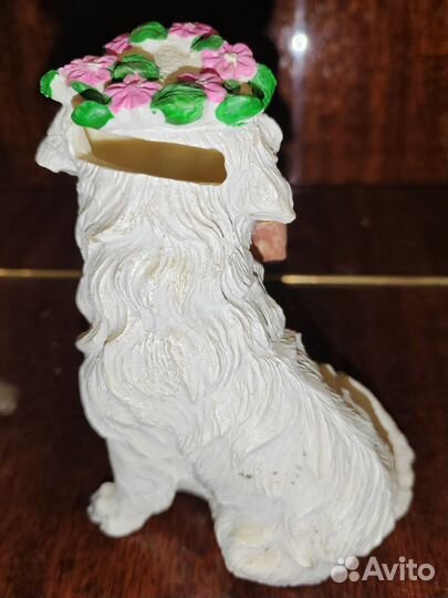 Копилка собака