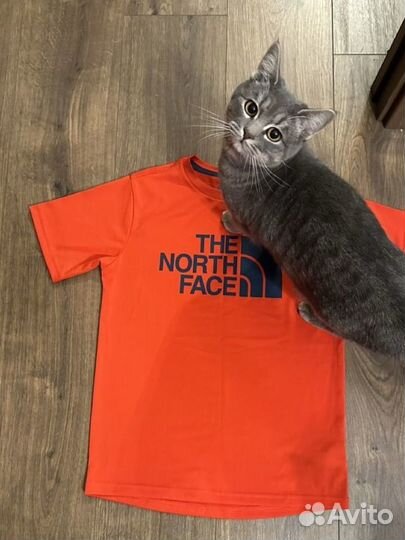 Футболка спортивная the north face