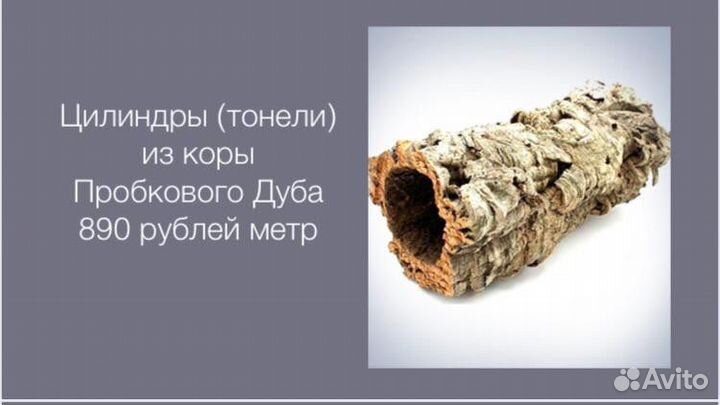 Кора пробкового дуба