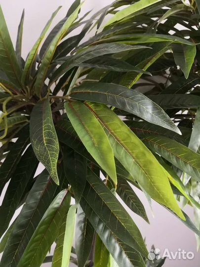 Искусственное дерево манго