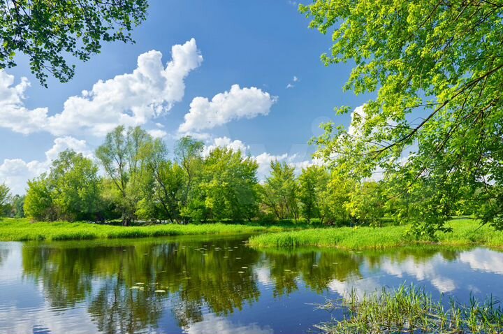 Участок 6,6 га (ИЖС)