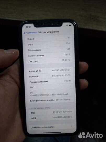 Apple 11