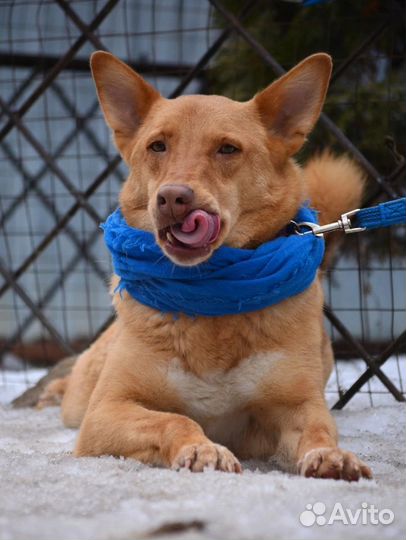 Ну просто нереальный мальчик Огонек