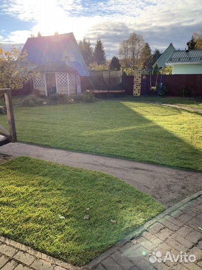 Быстрое озеленение участка рулонным газоном