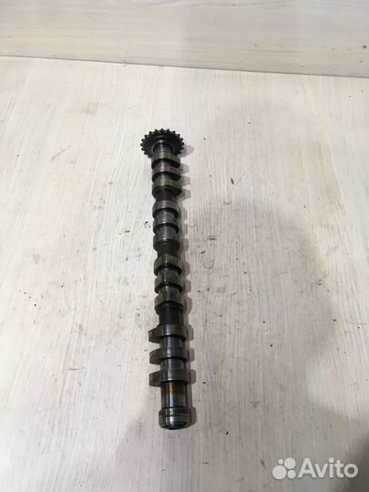 Распредвал впускной Ауди А4 Б6 1.8 AWM AWT