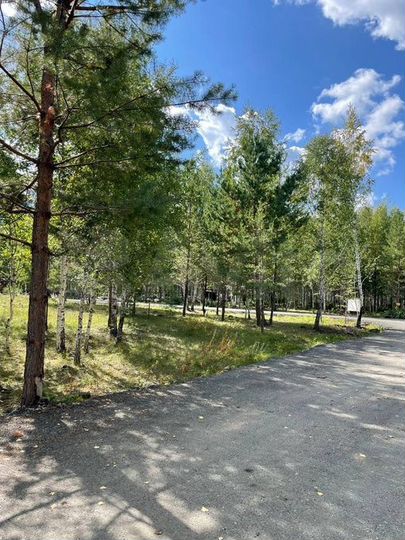 Участок 8,5 сот. (ИЖС)