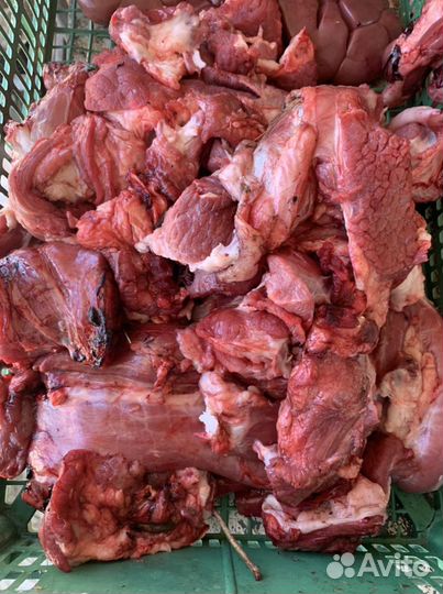 Корма для животных