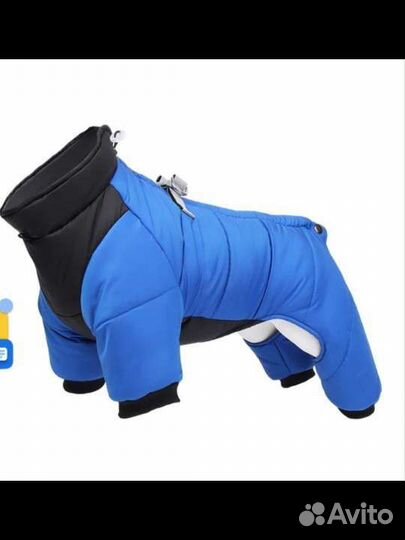 Комбинезон для средней собаки