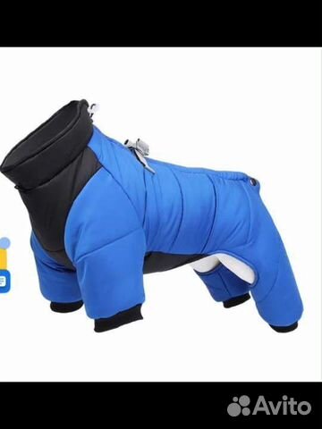 Комбинезон для средней собаки