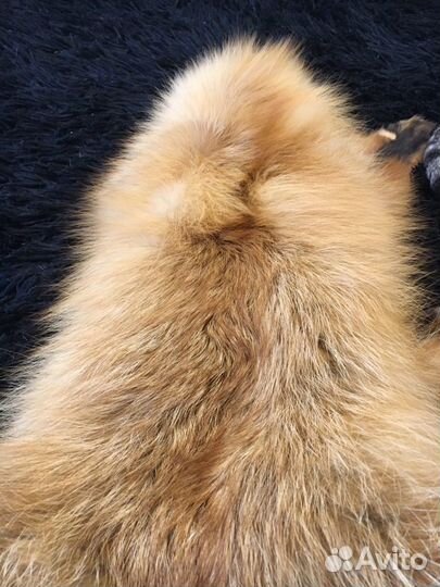 Шкура лисы