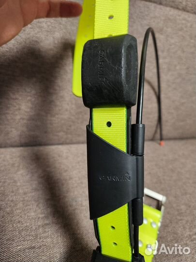 Ошейник Garmin DC50 Америка с лаем