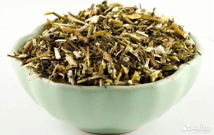 Череда резаная