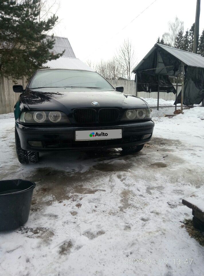 BMW 5 серия: фото владельца