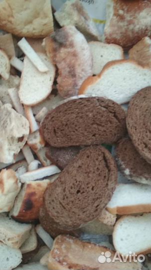 Сухари на корм животным