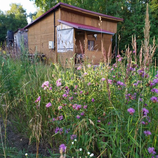 Участок 12,5 сот. (СНТ, ДНП)