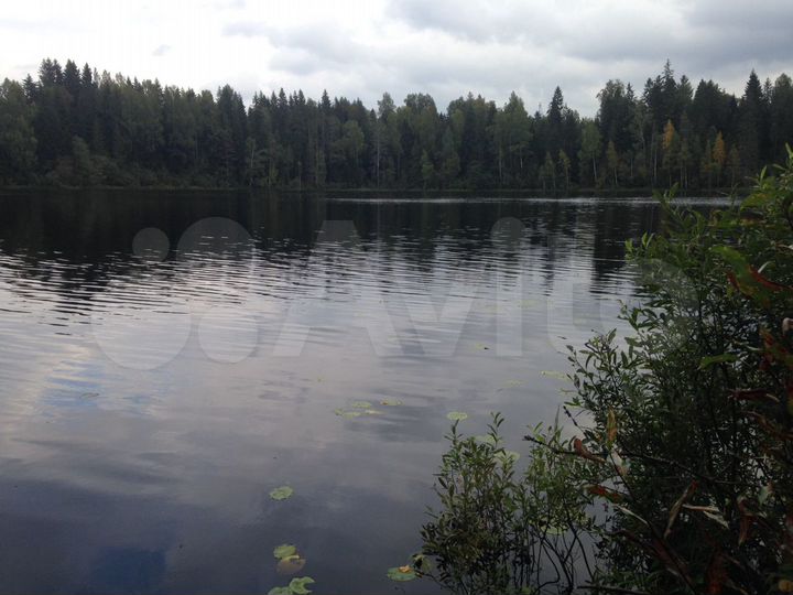 Участок 60 сот. (ИЖС)