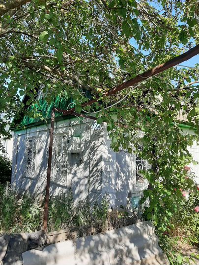 Дом 44 м² на участке 26,6 сот.