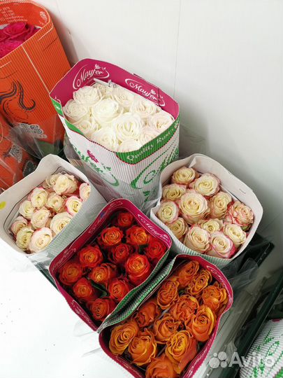 Крымская роза, букет под заказ 24/7