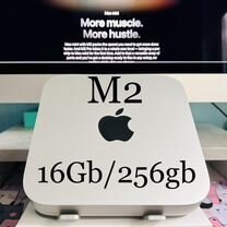 Apple Mac mini M2 16Gb/256 (2024)