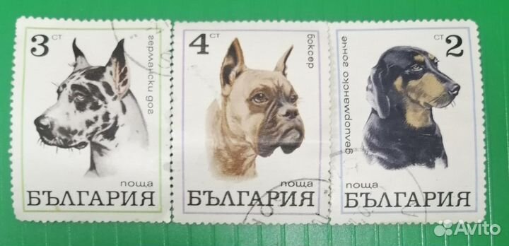 Почтовые марки СССР, ГДР, Куба и др от 5 р