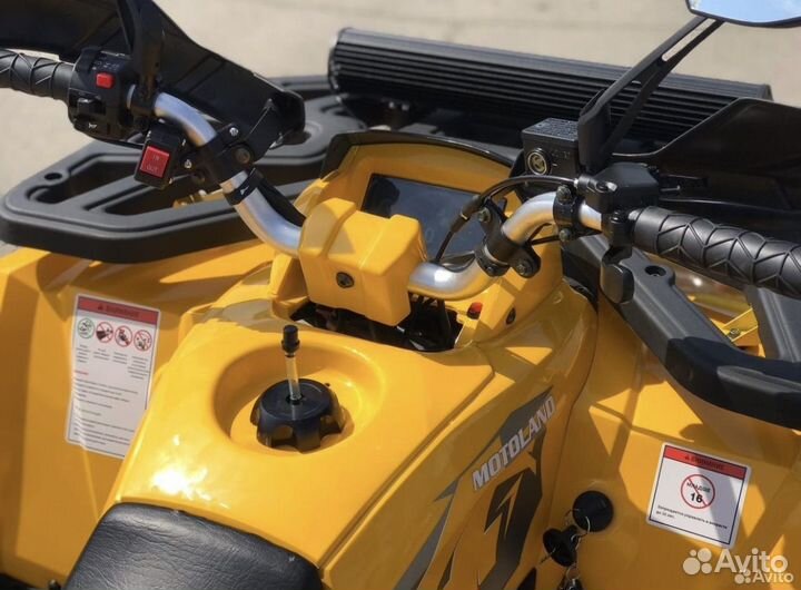 Квадроцикл MotoLand Wild Track 200 X Pro
