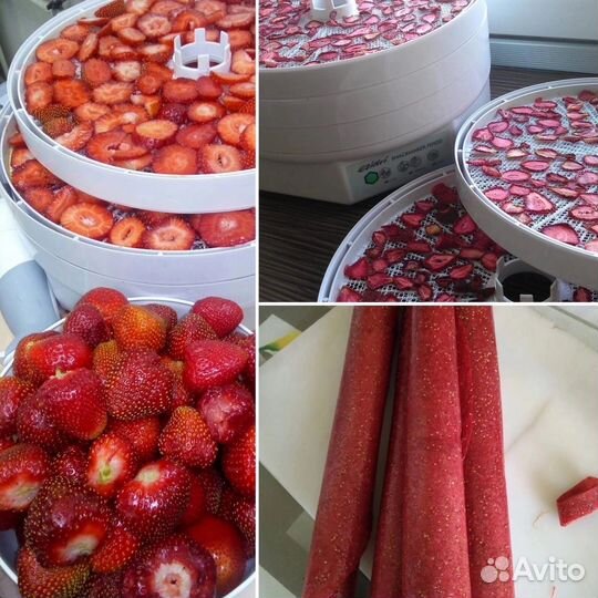 Сушилка для овощей и фруктов Ezidri Челябинск