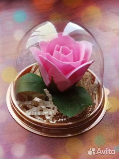 Роза в куполе