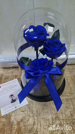 Роза в колбе оптом и в розницу