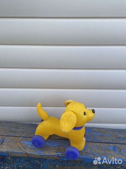 Собаки каталки