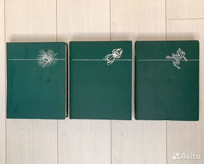 Жизнь животных