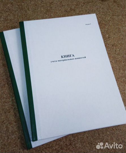 Книга учета форма10, 100 л, мягкая обложка