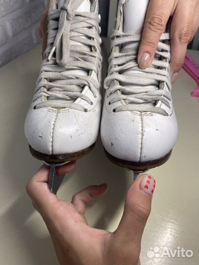 Коньки для фигурного катания Graf Ace